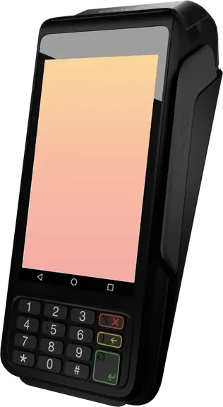 Dejavoo P1
