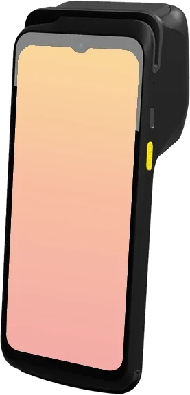 Dejavoo P8